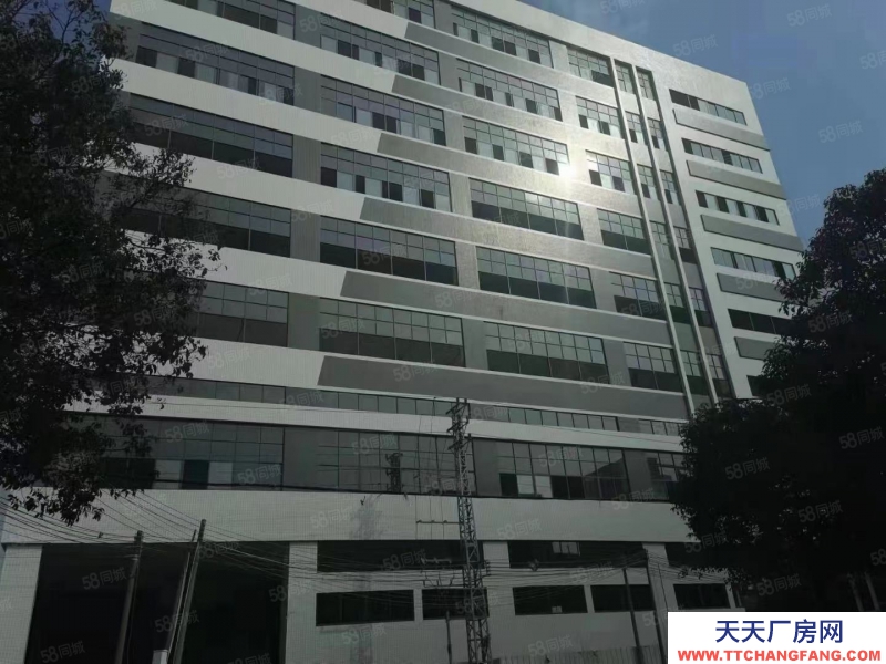 (出租) 中山東鳳吉昌全新廠房一至八層，每層4000方，1450方起租