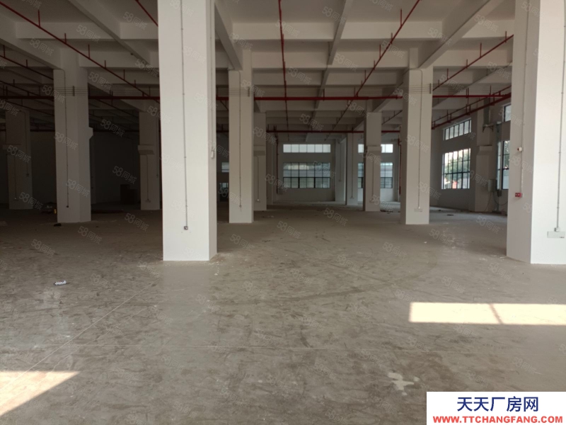 (出租) 中山東鳳吉昌全新廠房一至八層，每層4000方，1450方起租