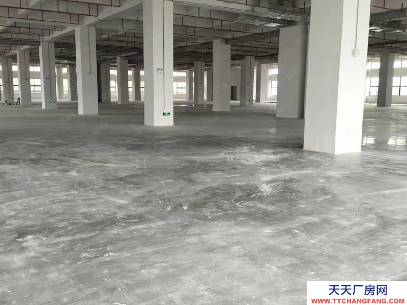 (出租) 中山東鳳電子城60000平方紅本廠房出租 ,租金10元,大小分租