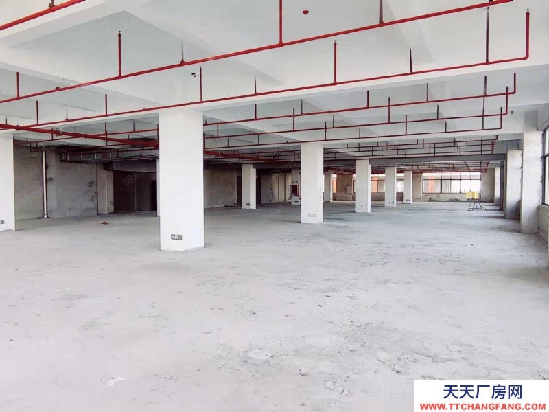 (出租) 中山東鳳電子城60000平方紅本廠房出租 ,租金10元,大小分租