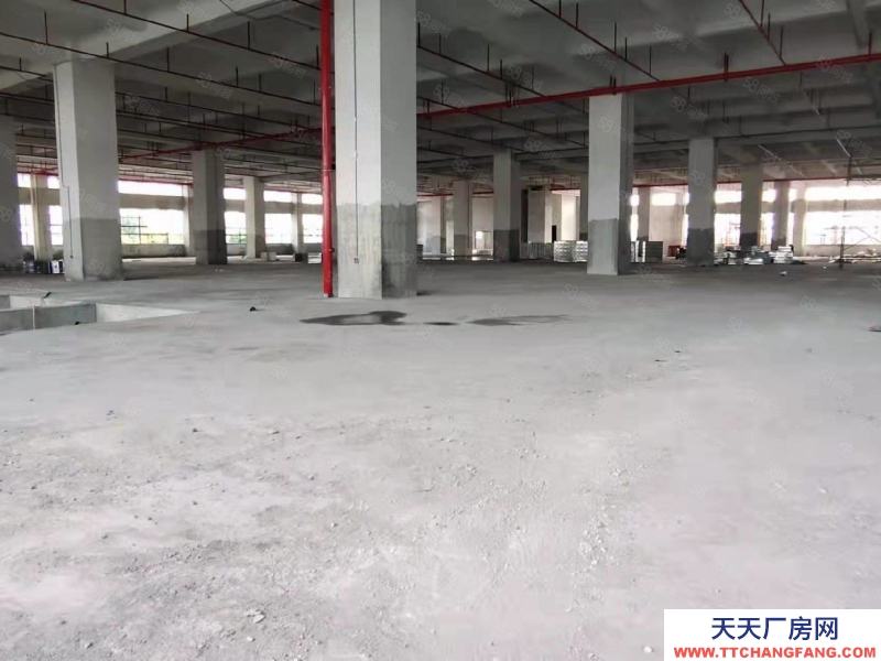 (出租) 中山東鳳電子城60000平方紅本廠房出租 ,租金10元,大小分租