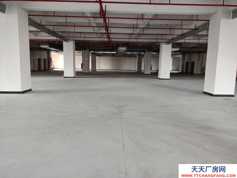 (出租) 中山東鳳電子城旁全新廠房每層3000，500方起分，房東包裝修