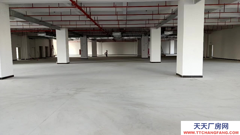 (出租) 中山東鳳電子城旁全新廠房每層3000，500方起分，房東包裝修