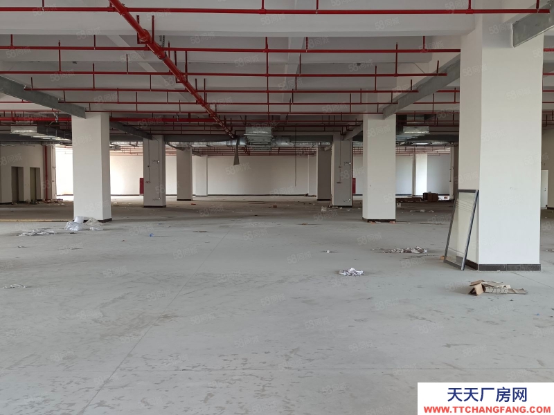 (出租) 中山東鳳電子城旁全新廠房每層3000，500方起分，房東包裝修