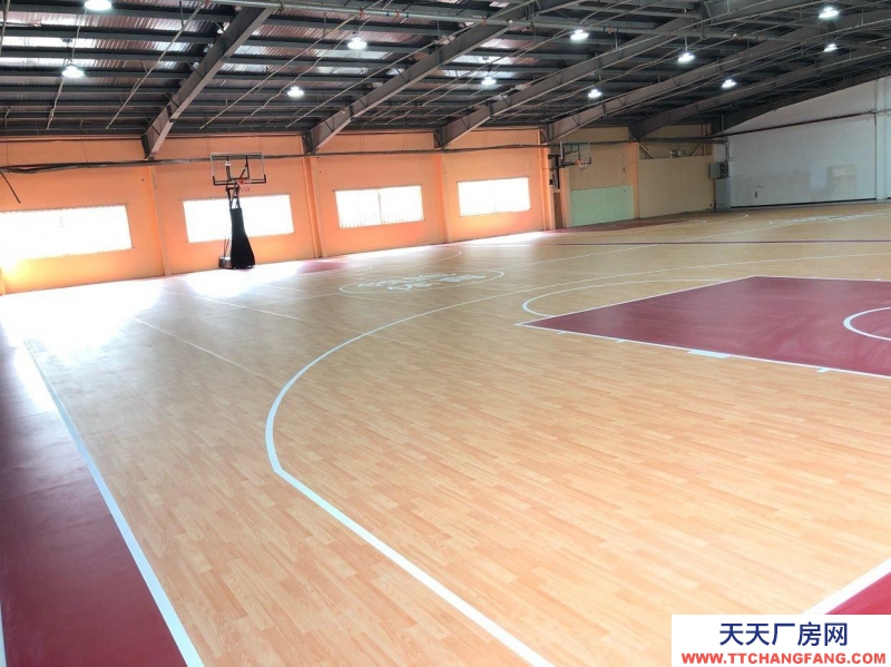 (出租) 西安新城標(biāo)準(zhǔn)籃球場地，4個籃板可升降。