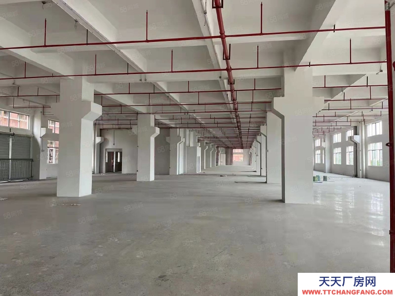 (出租) 中山橫欄鎮永興工業區9000方樓上全新廠房出租分租每層3000方