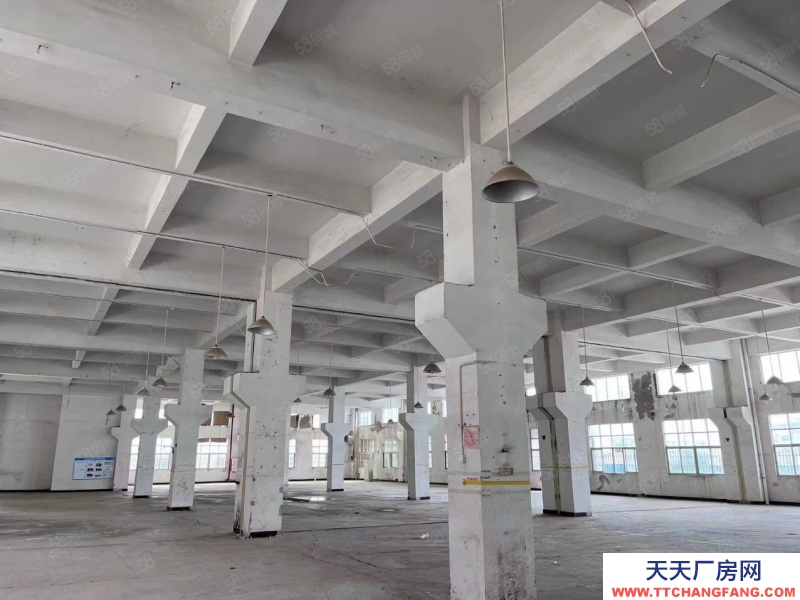 (出租) 中山南頭阜沙獨(dú)門獨(dú)院紅本廠房9798方出租,交通便利可辦環(huán)評(píng)