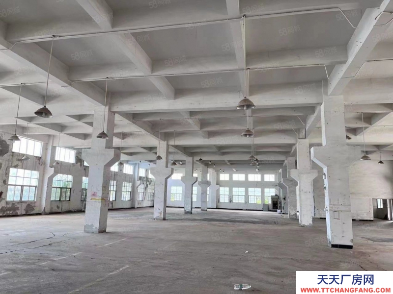 (出租) 中山南頭阜沙獨(dú)門獨(dú)院紅本廠房9798方出租,交通便利可辦環(huán)評(píng)