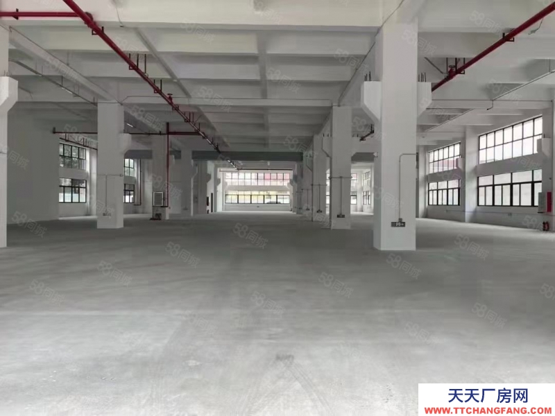 (出租) 中山南頭鎮獨院標準樓房15,000平米廠房出租可分租