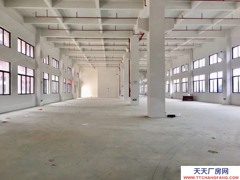 (出租) 中山南頭鎮全新獨院標準樓房獨院18,000平米廠房出租可分租