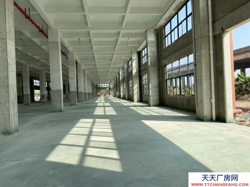 (出租) 中山三角化工區(qū)包環(huán)評廠房,500平起租