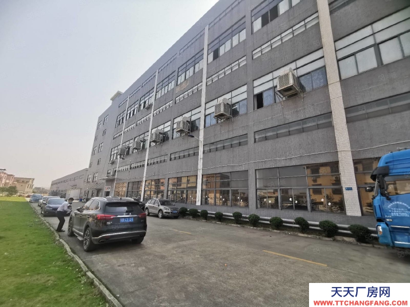 (出租) 中山三角新出原房東標(biāo)準(zhǔn)廠房2500平帶現(xiàn)成裝修閣樓可辦環(huán)評高8米