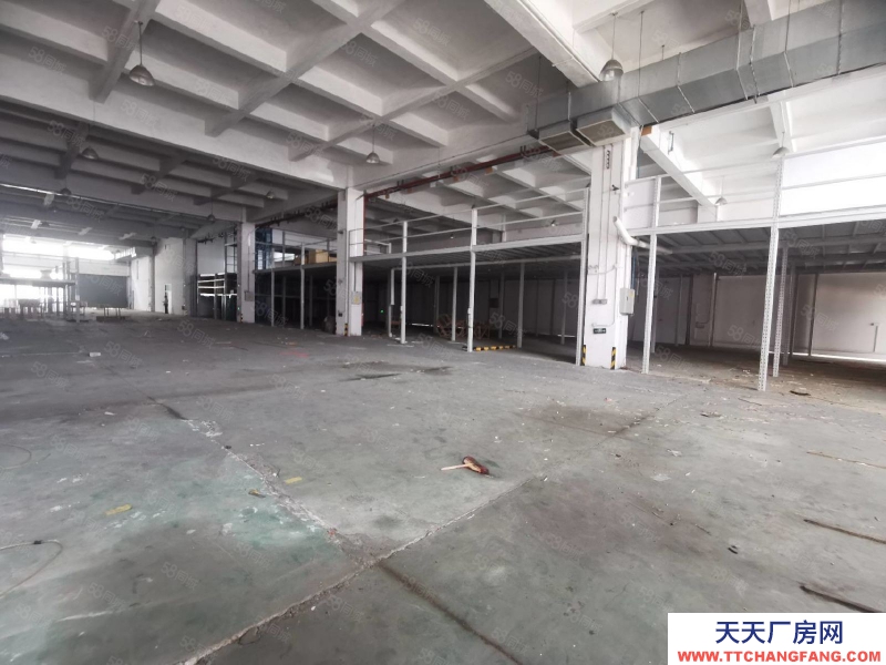 (出租) 中山三角新出原房東標準廠房2500平帶現成裝修閣樓可辦環評高8米