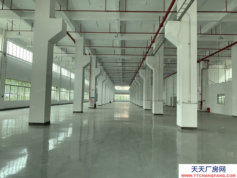 (出租) 中山三角區(qū)獨(dú)門獨(dú)院41800平方廠房出租