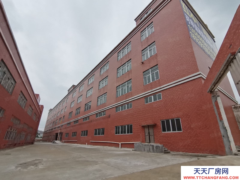 (出租) 中山三角區(qū)火炬原房東成熟工業(yè)區(qū) 空地超大 工業(yè)用地可辦環(huán)評(píng)