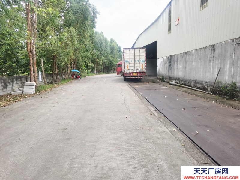 (出租) 中山黃圃大岑工業區1500平星棚廠房出租,可做生產,可辦環評