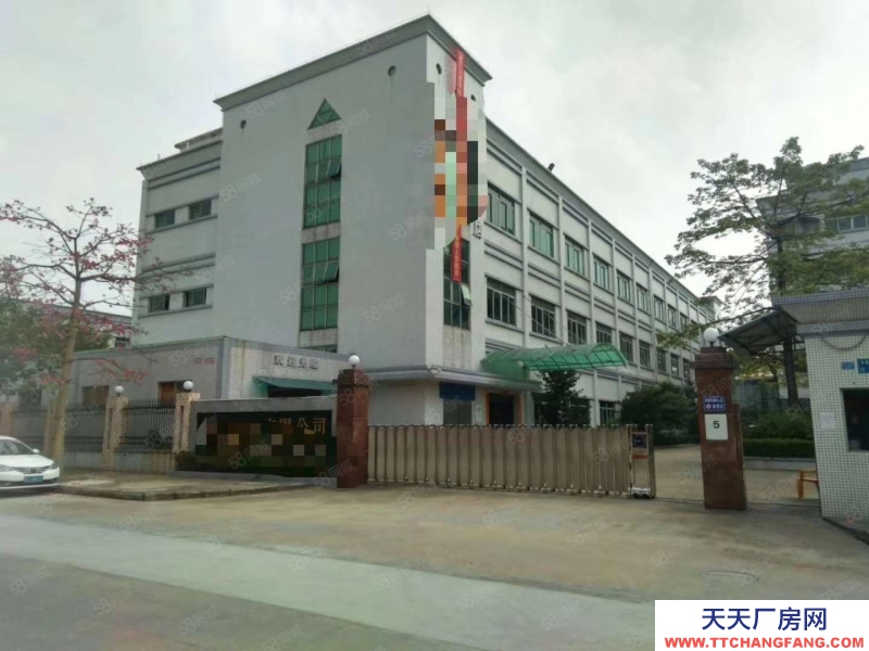 (出租)中山 黃圃鎮(zhèn)標(biāo)準(zhǔn)樓房一樓廠房2800平米出租可分租