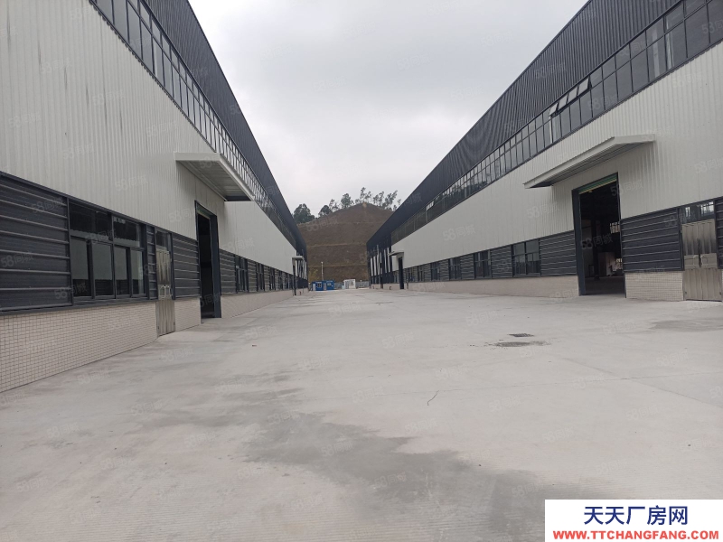 (出租) 中山板芙全新獨院鋼構一樓4萬方出租，可以分租