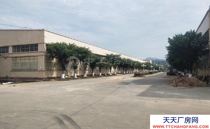 (出租) 中山市板芙鎮單一層廠房招租高度10米證件齊全可辦環評可分租