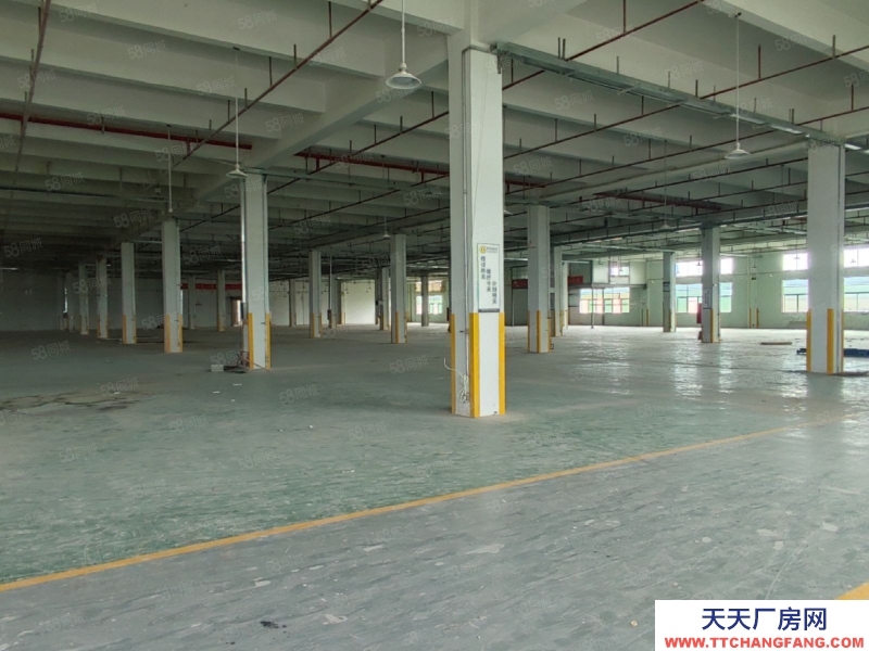 (出租) 中山板芙獨(dú)院紅本廠房精裝修15000方，12米高，無行業(yè)限制