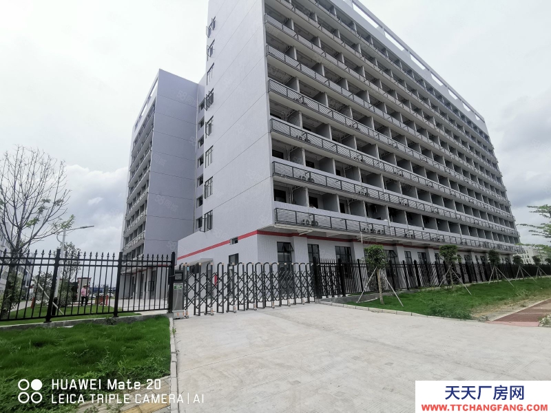 (出租) 中山板芙鎮國道旁(2600方)紅本工業園區獨門獨院可辦環評