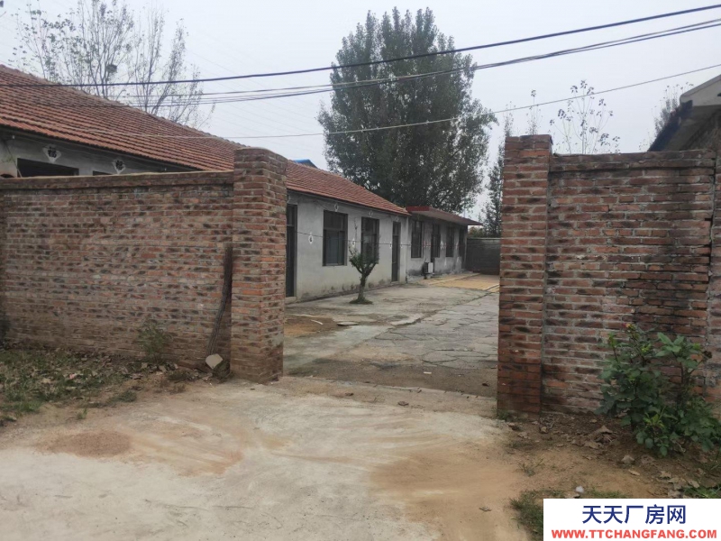 濰坊安丘十間房屋帶院水電齊全交通方便