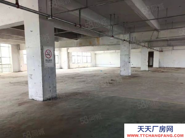 無錫濱湖太湖灣科創帶 胡埭 2800平 倉庫帶負重電梯 可分租