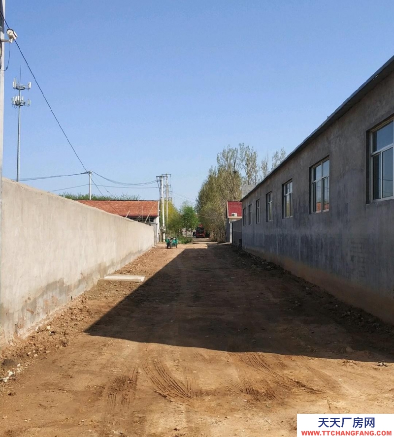 濰坊高密H型鋼廠房1000平，平房4間，院800平，水電路通