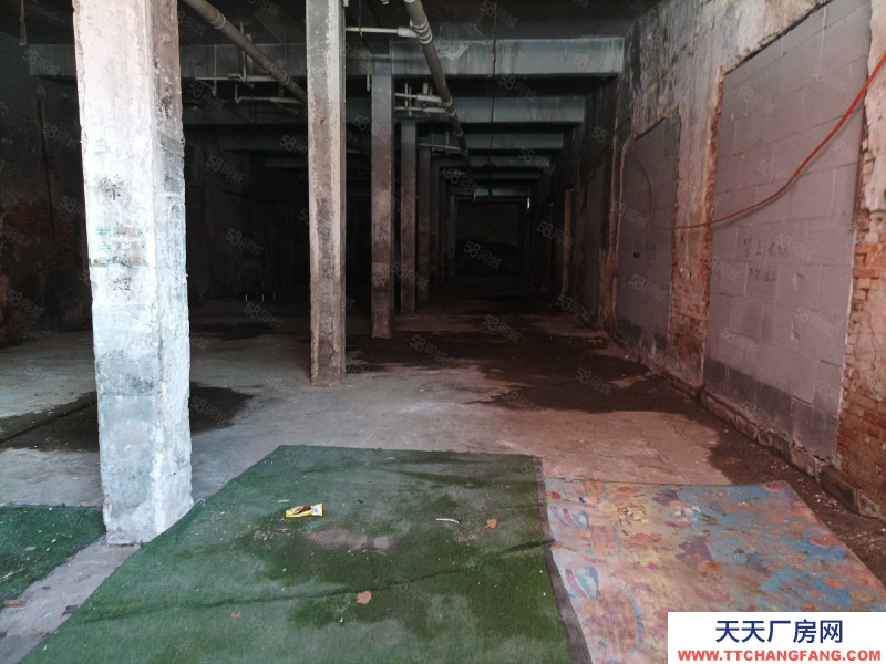 寧波鄞州(出租) 鄞州 江東南路一樓1000平分租500 實圖 適合冷庫或倉庫