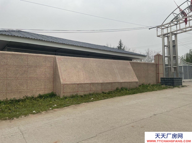 (出租)西安周至 新建成單層鋼結構