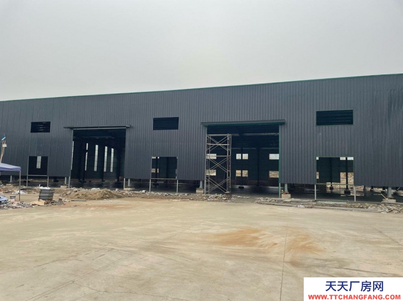 (出租)西安周至 新建成單層鋼結構