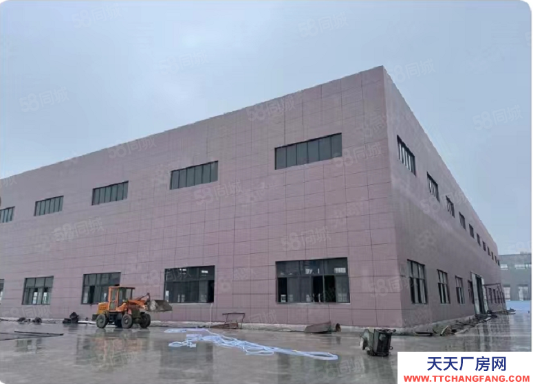 寧波象山(出租) D9 131 8685 8822鋼結構三跨全新標準廠房