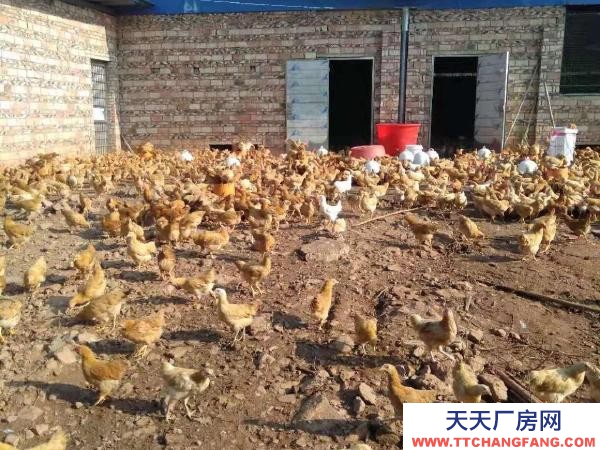 衡陽市衡東縣 廠房分a.b兩部分,共計1500平方,水電齊全,價格面議。