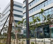 (出租) 資陽簡陽高新技術產業園 層高6米 政府補貼 稅收三免兩減半