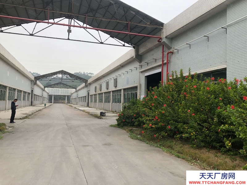 (出租) 中山五桂山鋼結構單一層10000平方廠房出租 滳水7米可辦評