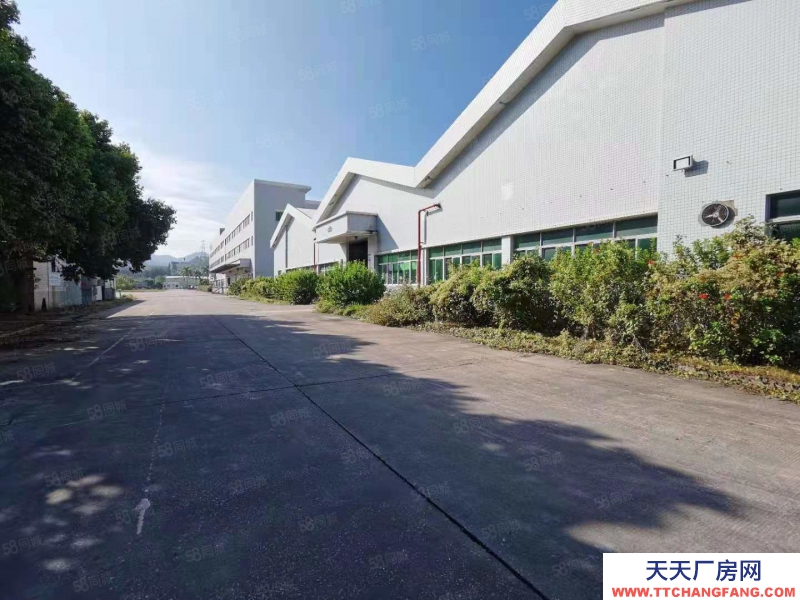 (出租) 中山五桂山單一層廠房出租證件齊全可進拖頭滴水8米可分租