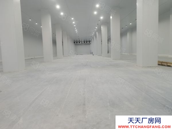 無錫惠山高標(biāo)庫(kù)冷庫(kù)1000平3000平5000平各種面積段都有