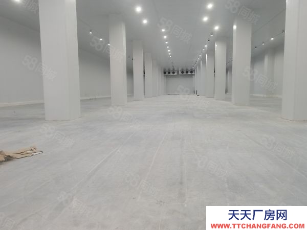 無錫惠山高標庫冷庫1000平3000平5000平各種面積段都有