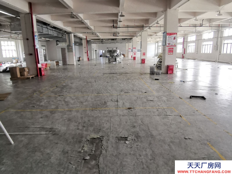 (出租) 中山市大涌鎮南文社區標準廠房(1800方)帶現成家具環評噴漆