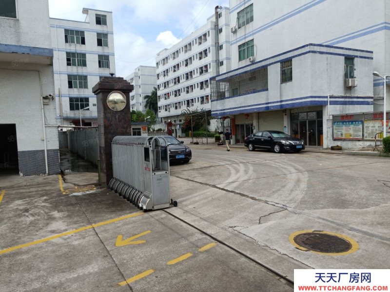 (出租) 中山大涌鎮30000平大小可分帶紅本工業園一樓倉庫出租廠房出租