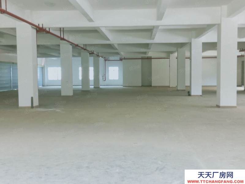 (出租) 中山大涌鎮30000平大小可分帶紅本工業園一樓倉庫出租廠房出租