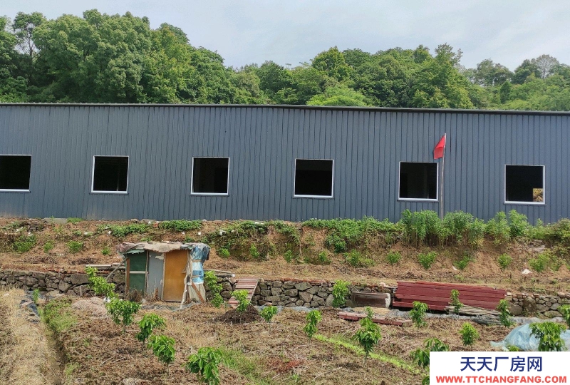 寧波象山(出租) 象山影視城東邊，交通便利