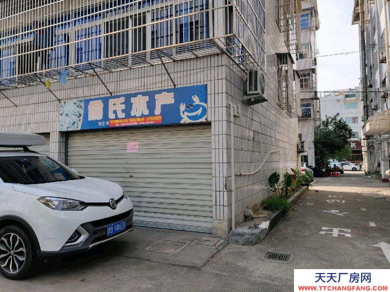 寧波象山(出租) 車(chē)庫(kù)位于步行街天使咖啡后面、地稅大樓后面，可作商鋪