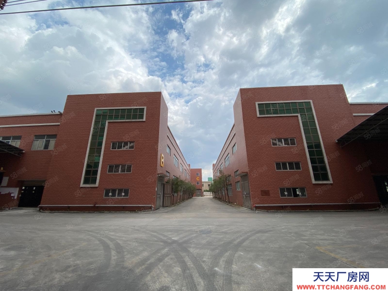 (出租) 中山市民眾鎮大型產業園標準廠房招租 空地超大