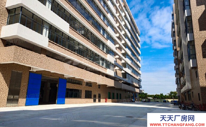 (出租) 中山民眾獨院65000方，共5棟配套齊全，宿舍食堂可分租