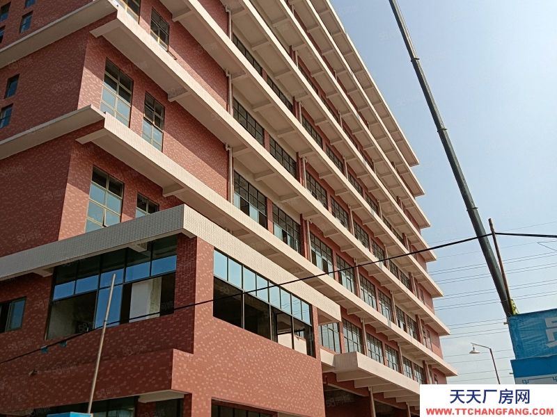 (出租) 中山阜沙 原 房 東 全新標(biāo)準(zhǔn)廠出租