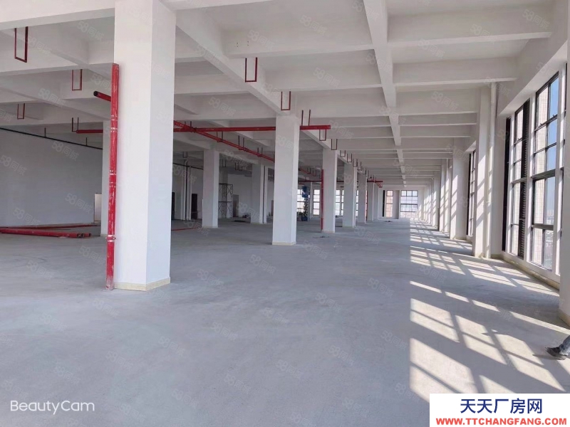 (出租) 中山阜沙 原 房 東 全新標準廠出租