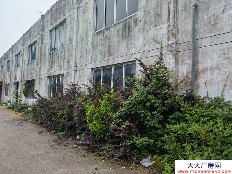 寧波象山(出售) 城區(qū)旁工業(yè)園區(qū)標(biāo)準(zhǔn)廠房！4000平方交通方便