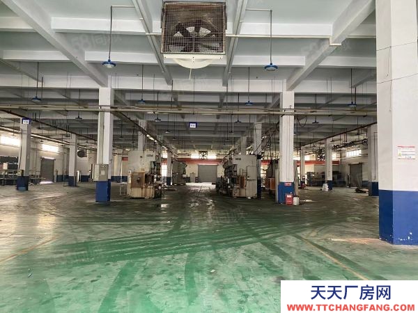 無錫錫山區亭廠房出租倉庫租賃,多棟多層可整租可分租500平方