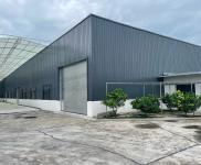 (出租) 彭山1500平方米全新標準廠房房東對外直租,無中介。